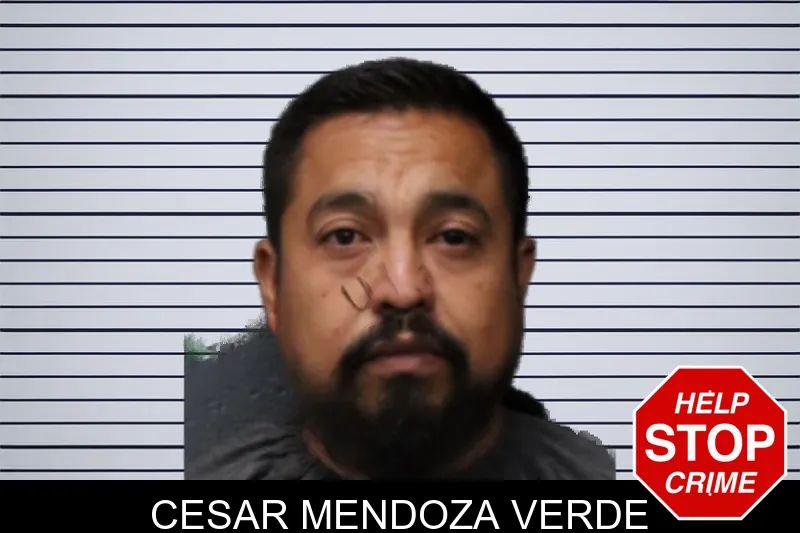 Cesar Mendoza Verde mugshot