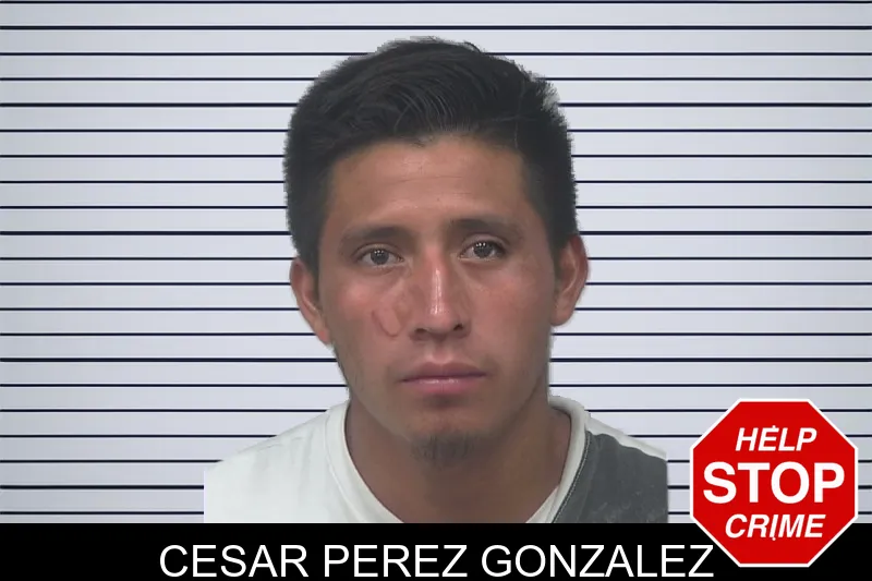 Cesar Perez Gonzalez mugshot