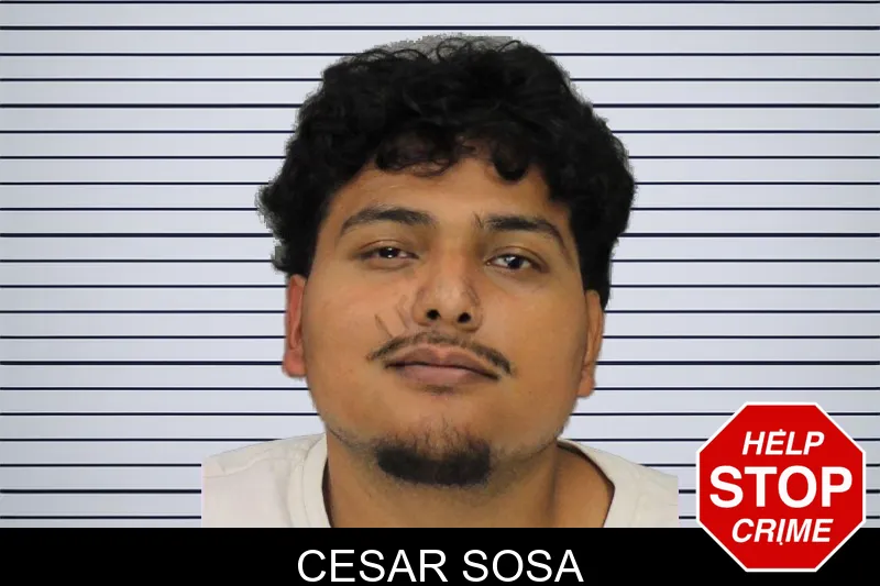 Cesar Sosa mugshot – Cobb County , Georgia Cesar Sosa mugshot