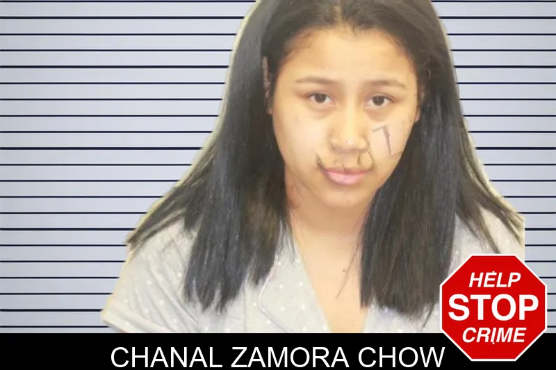 Chanal Zamora Chow mugshot – Chatham County , Georgia Chanal Zamora Chow mugshot