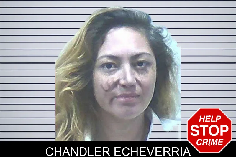 Chandler Echeverria mugshot – Jackson County , Georgia Chandler Echeverria mugshot