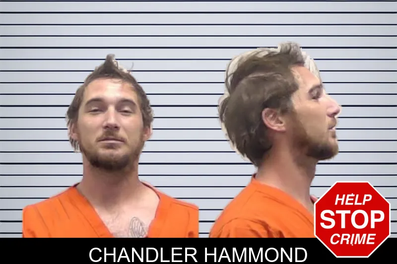 Chandler Hammond mugshot – Clarke County , Georgia Chandler Hammond mugshot