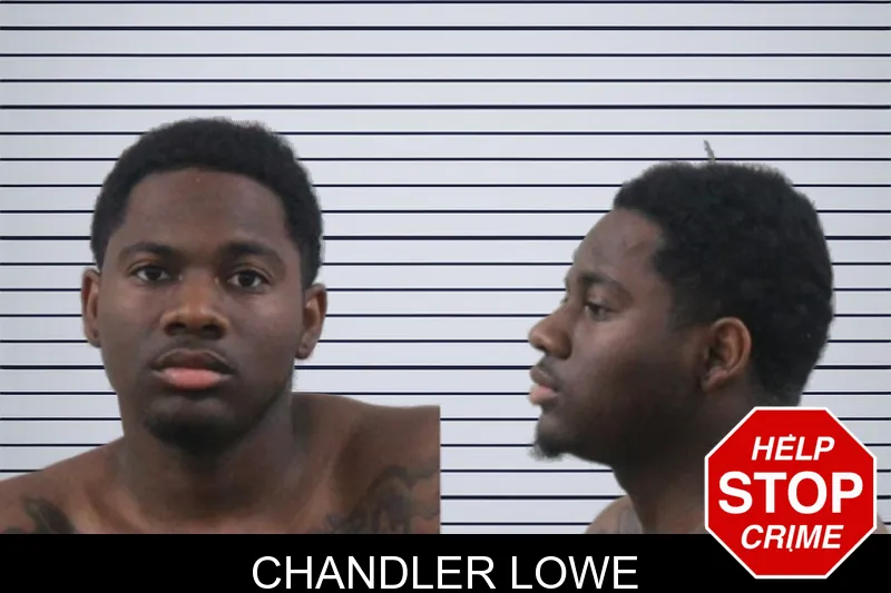 Chandler Lowe mugshot