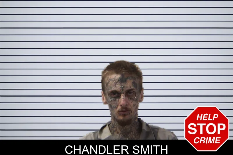 Chandler Smith mugshot – Stephens County , Georgia Chandler Smith mugshot