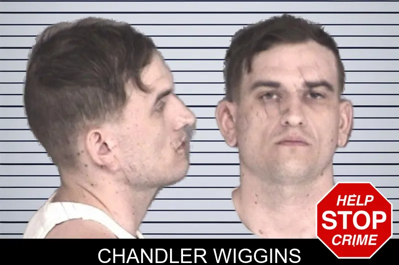 Chandler Wiggins mugshot – Barrow County , Georgia Chandler Wiggins mugshot