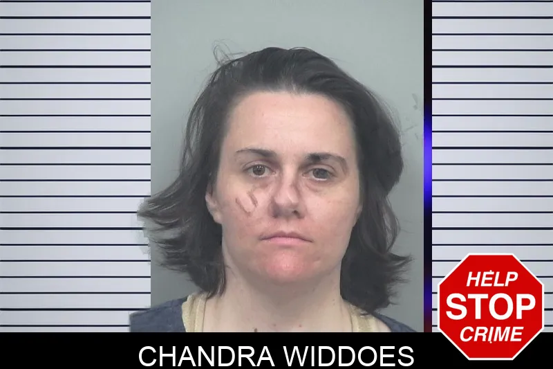 Chandra Widdoes mugshot