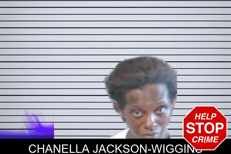 Chanella Jackson-Wiggins mugshot – DeKalb County , Georgia Chanella Jackson-Wiggins mugshot