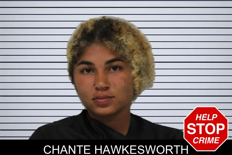 Chante Hawkesworth mugshot