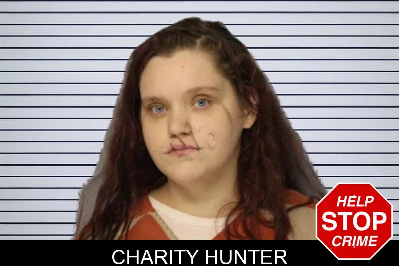 Charity Hunter mugshot – Hall County , Georgia Charity Hunter mugshot