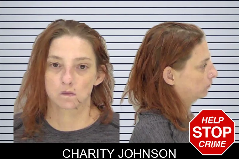 Charity Johnson mugshot