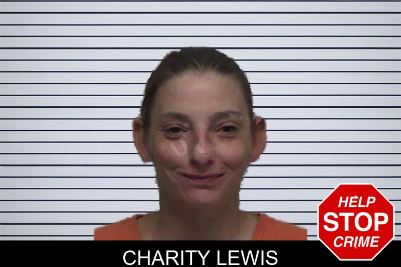 Charity Lewis mugshot