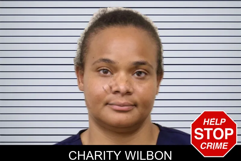 Charity Wilbon mugshot – Bulloch County , Georgia Charity Wilbon mugshot