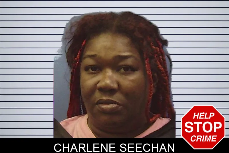 Charlene Seechan mugshot