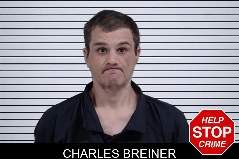 Charles Breiner mugshot – Lowndes County , Georgia Charles Breiner mugshot