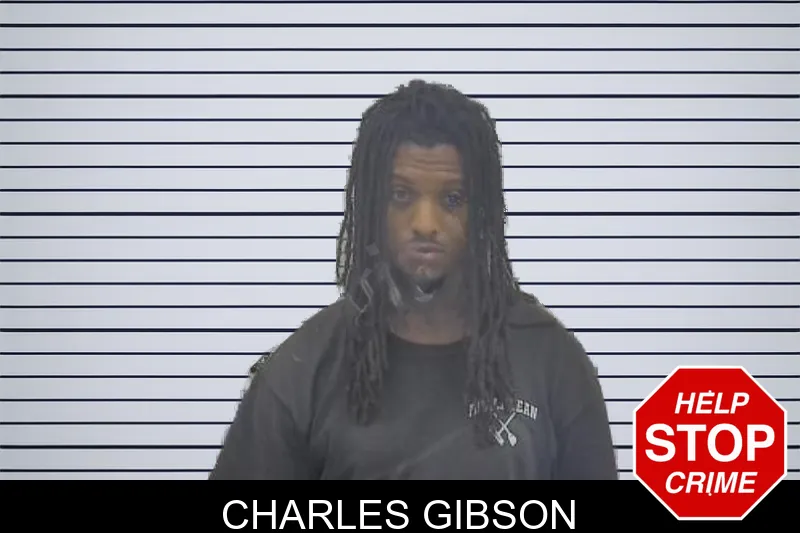 Charles Gibson mugshot – Coffee County , Georgia Charles Gibson mugshot