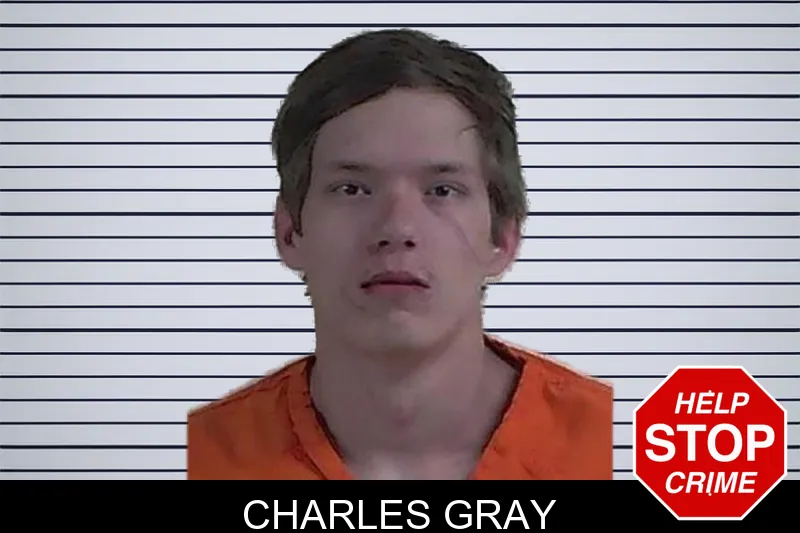 Charles Gray mugshot – Fannin County , Georgia Charles Gray mugshot
