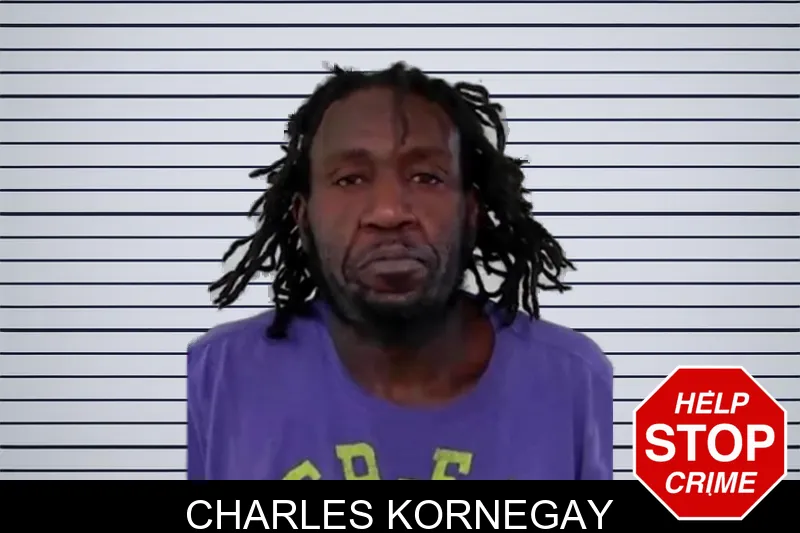 Charles Kornegay mugshot – Liberty County , Georgia Charles Kornegay mugshot