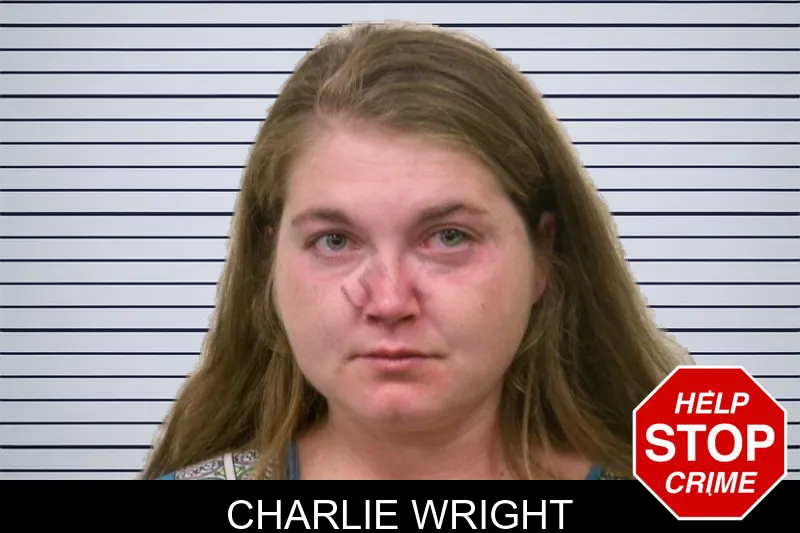 Charlie Wright mugshot – Bulloch County , Georgia Charlie Wright mugshot