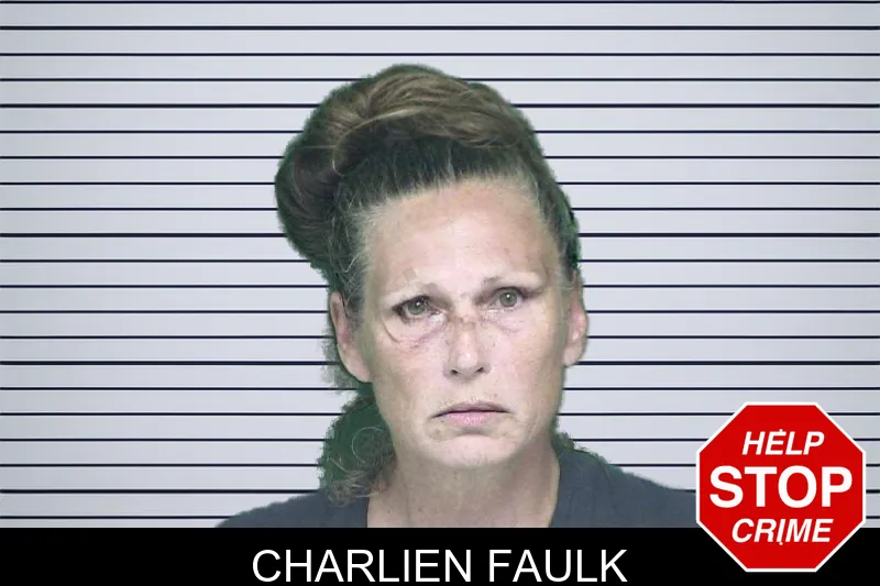 Charlien Faulk mugshot – Appling County , Georgia Charlien Faulk mugshot