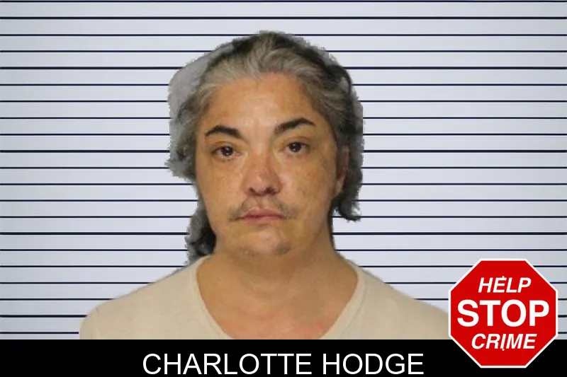 Charlotte Hodge mugshot – Hall County , Georgia Charlotte Hodge mugshot