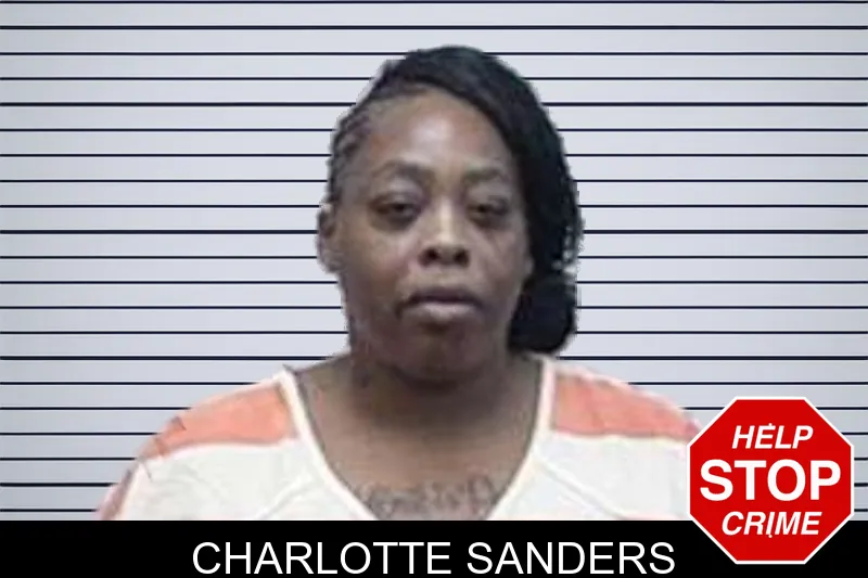 Charlotte Sanders mugshot – Tattnall County , Georgia Charlotte Sanders mugshot