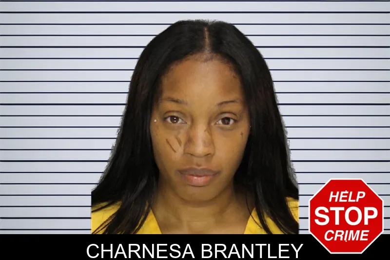 Charnesa Brantley mugshot – Cobb County , Georgia Charnesa Brantley mugshot