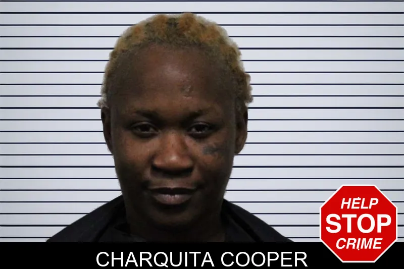 Charquita Cooper mugshot – Habersham County , Georgia Charquita Cooper mugshot