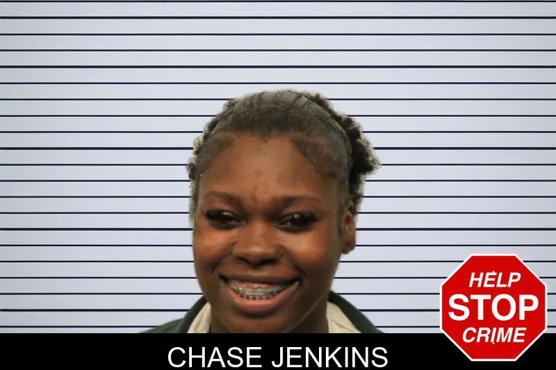 Chase Jenkins mugshot – Chatham County , Georgia Chase Jenkins mugshot