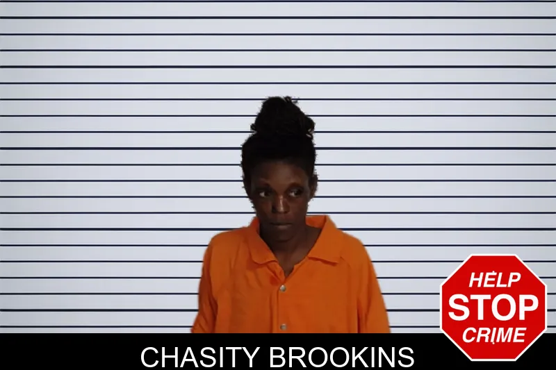 Chasity Brookins mugshot – Rockdale County , Georgia Chasity Brookins mugshot