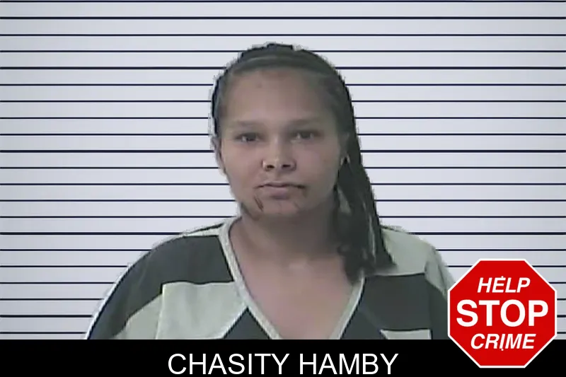 Chasity Hamby mugshot