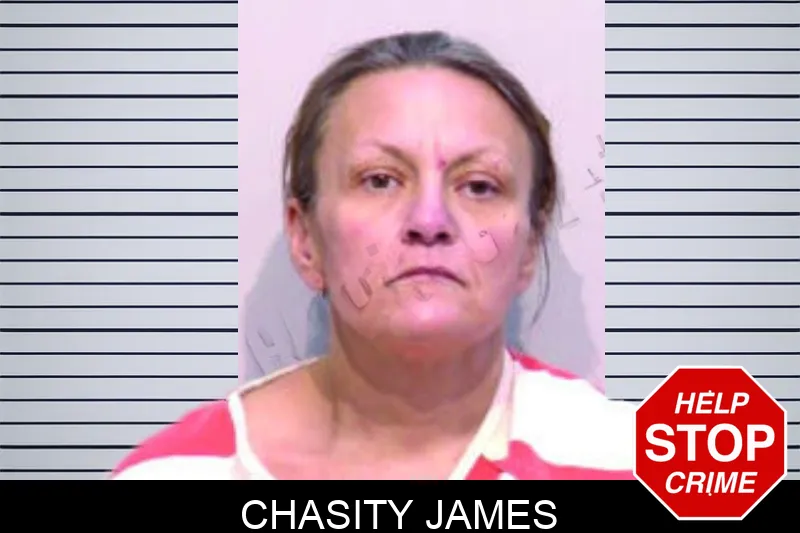Chasity James mugshot – Bartow County , Georgia Chasity James mugshot