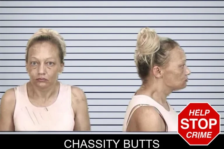 Chassity Butts mugshot – Camden County , Georgia Chassity Butts