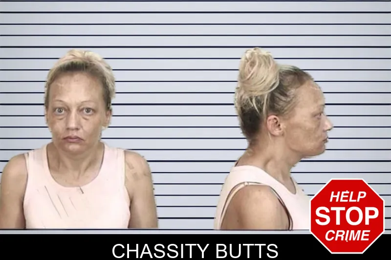 Chassity Butts mugshot – Camden County , Georgia Chassity Butts mugshot