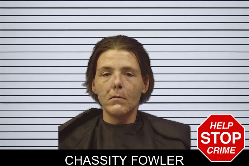 Chassity Fowler mugshot – Chattooga County , Georgia Chassity Fowler mugshot