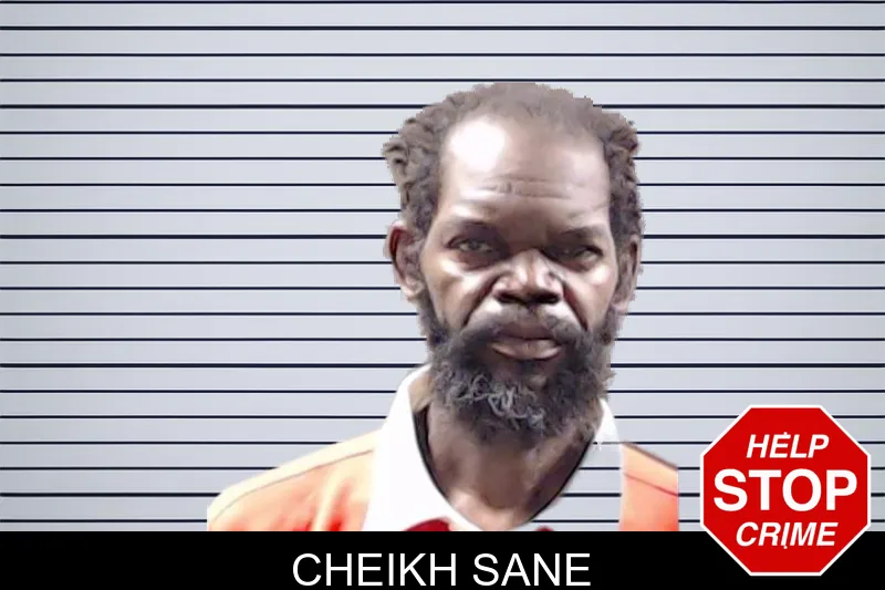Cheikh Sane mugshot – DeKalb County , Georgia Cheikh Sane mugshot