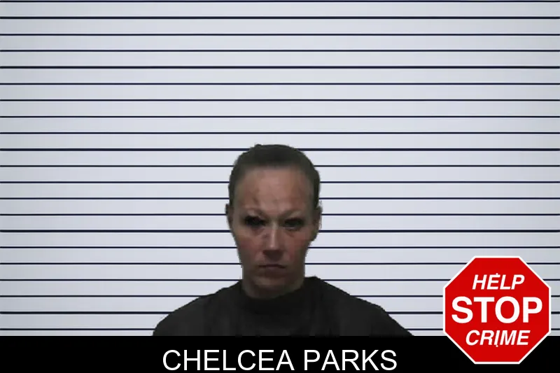 Chelcea Parks mugshot – Pike County , Georgia Chelcea Parks mugshot