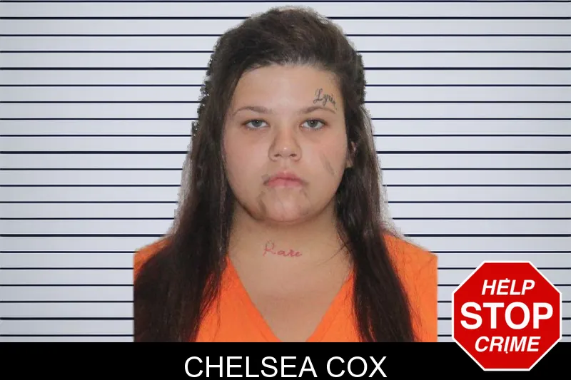Chelsea Cox mugshot