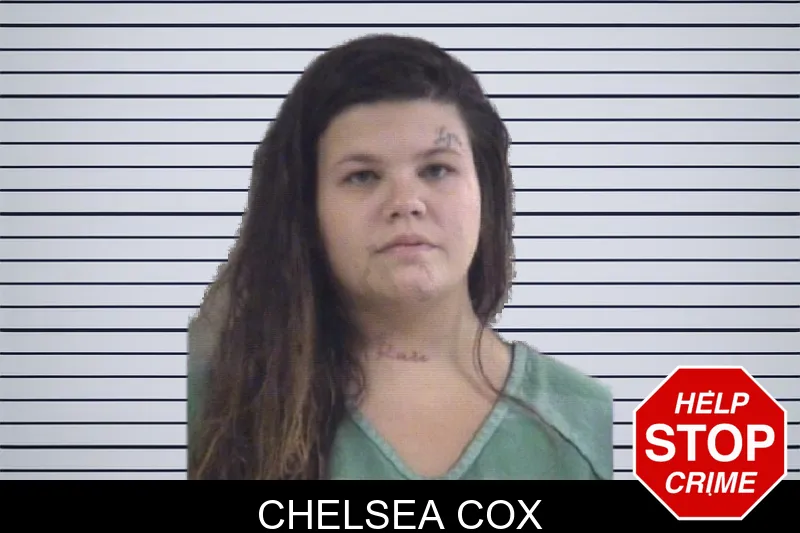 Chelsea Cox mugshot – Whitfield County , Georgia Chelsea Cox mugshot