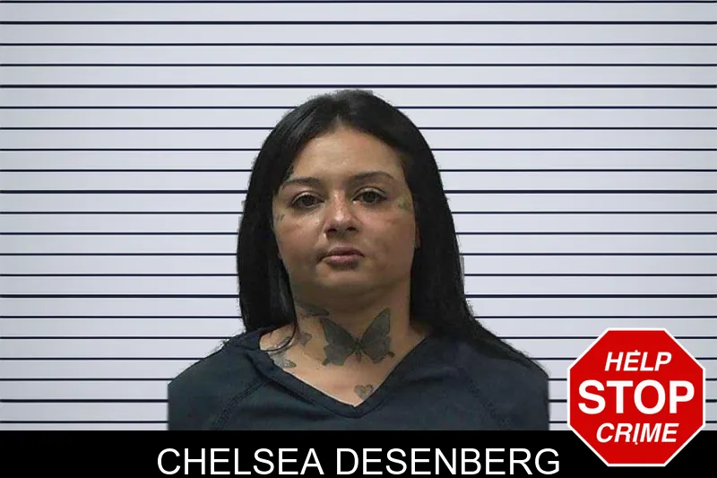 Chelsea Desenberg mugshot – Gilmer County , Georgia Chelsea Desenberg mugshot