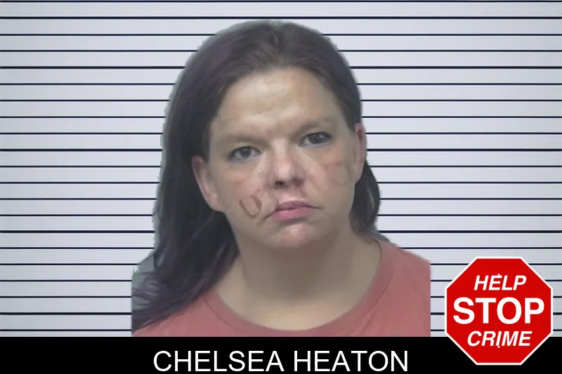 Chelsea Heaton mugshot