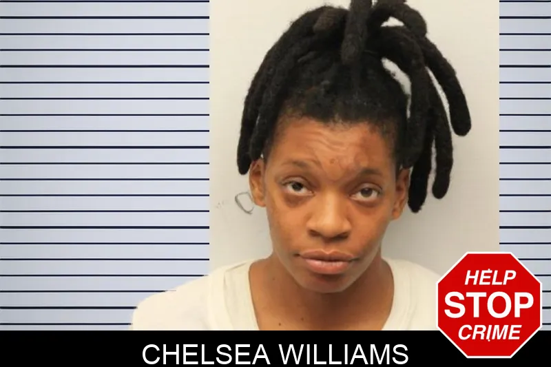 Chelsea Williams mugshot – Chatham County , Georgia Chelsea Williams mugshot