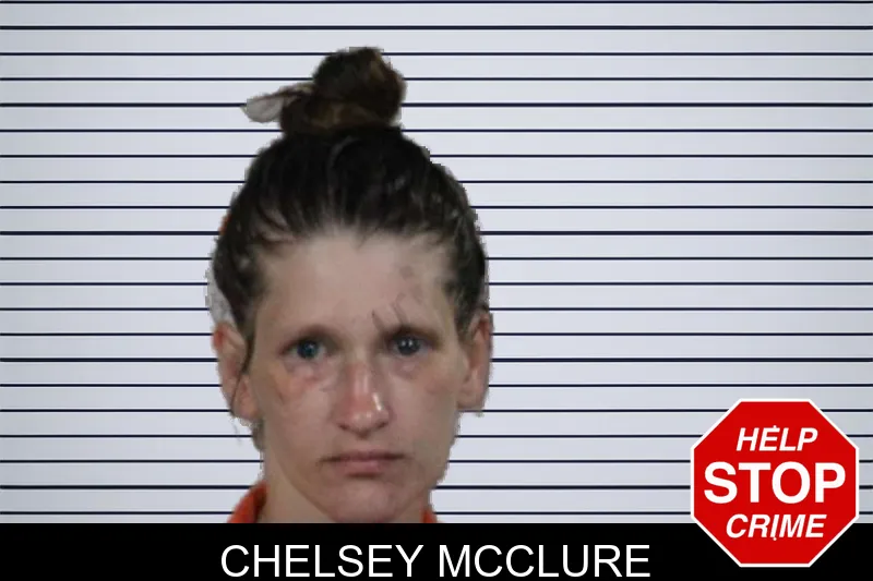 Chelsey McClure mugshot – Lamar County , Georgia Chelsey McClure mugshot