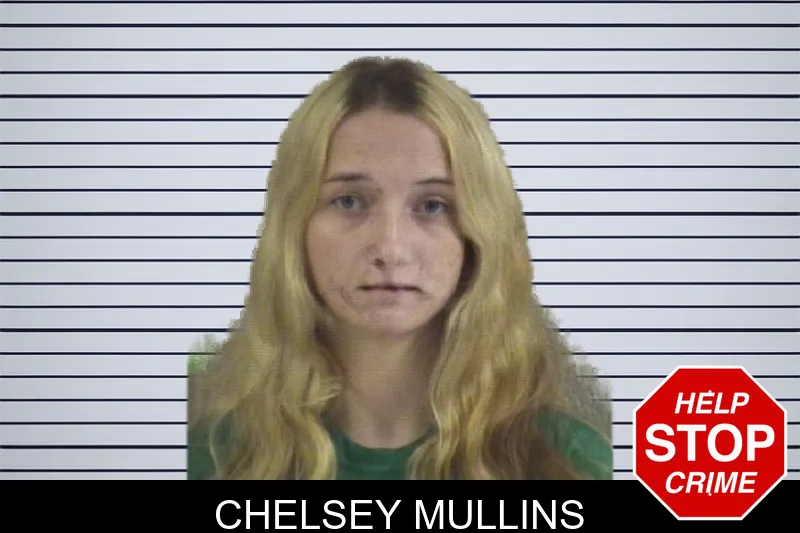 Chelsey Mullins mugshot – Whitfield County , Georgia Chelsey Mullins mugshot