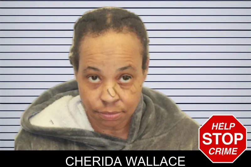 Cherida Wallace mugshot