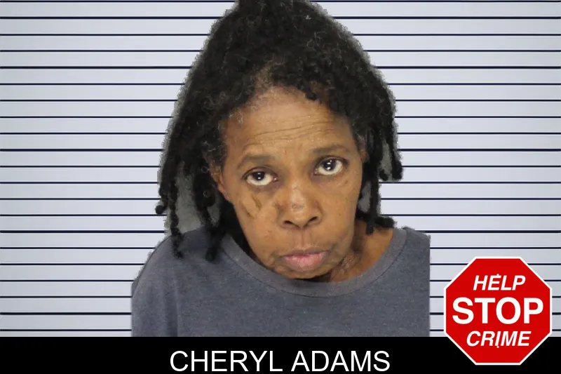 Cheryl Adams mugshot – Cobb County , Georgia Cheryl Adams mugshot