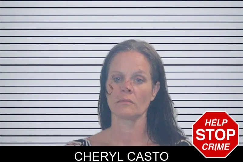 Cheryl Casto mugshot