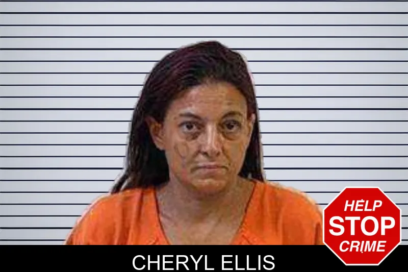 Cheryl Ellis mugshot