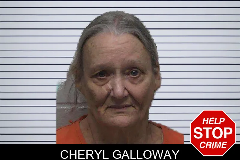 Cheryl Galloway mugshot