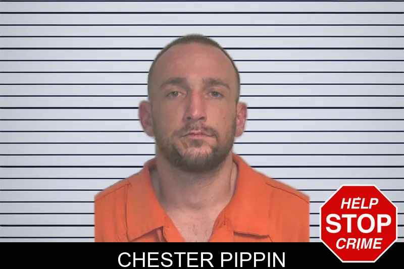 Chester Pippin mugshot – Berrien County , Georgia Chester Pippin mugshot