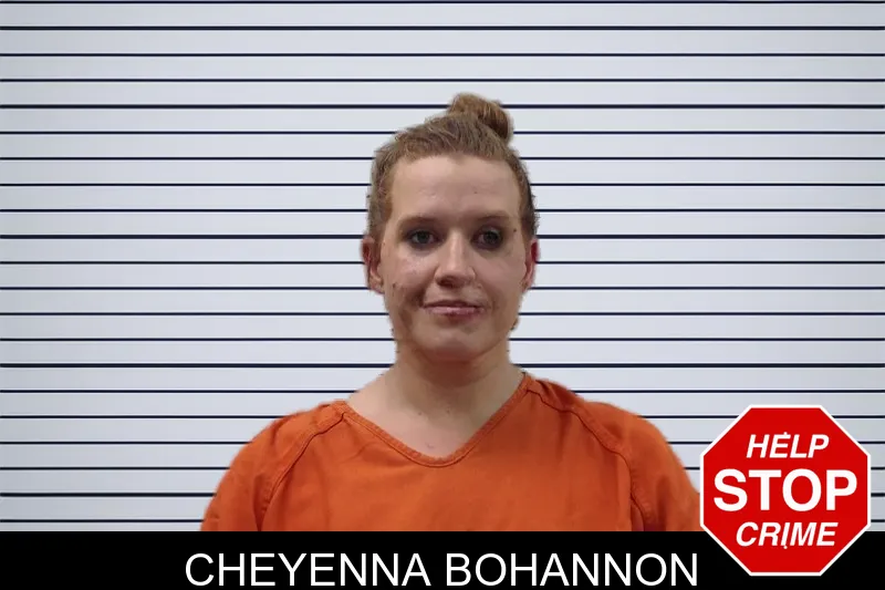 Cheyenna Bohannon mugshot – Pickens County , Georgia Cheyenna Bohannon mugshot